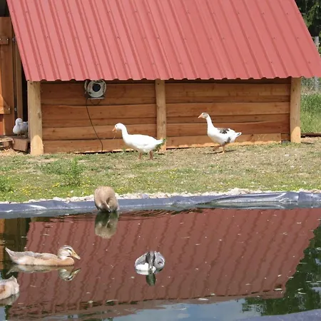Ferienhaus Fur Bis Zu 4 Personen Zur Seeseite - #125265 * Grobern